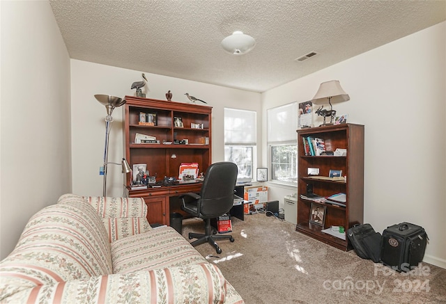 office area featuring light carpet and a textured ceiling