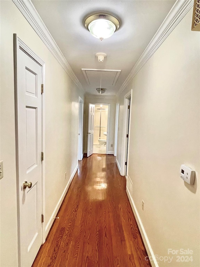 corridor featuring crown molding and dark wood-type flooring