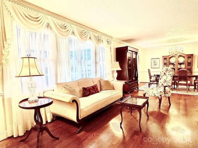 living room with wood-type flooring, ornamental molding, and a textured ceiling