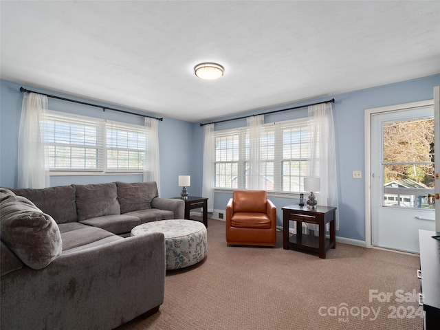 carpeted living room featuring a wealth of natural light