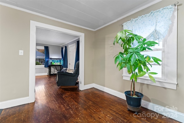 hall featuring crown molding, dark hardwood / wood-style flooring, and a healthy amount of sunlight