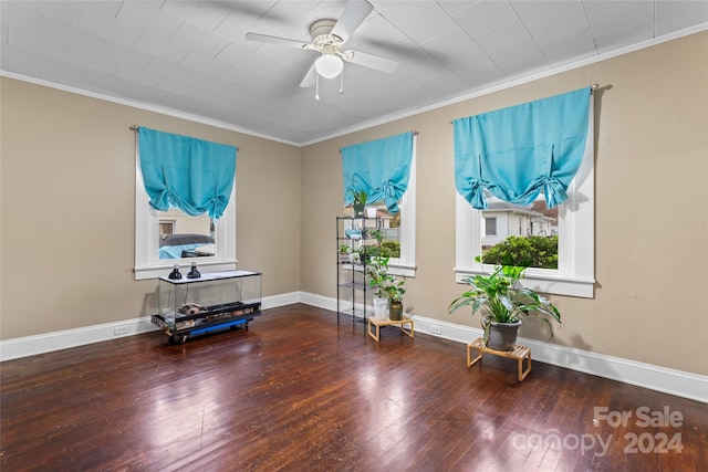 miscellaneous room featuring ceiling fan, hardwood / wood-style floors, and ornamental molding