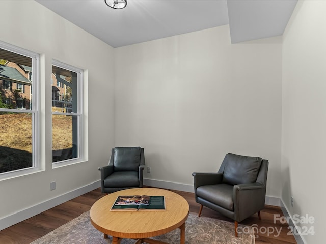 living area featuring dark hardwood / wood-style flooring