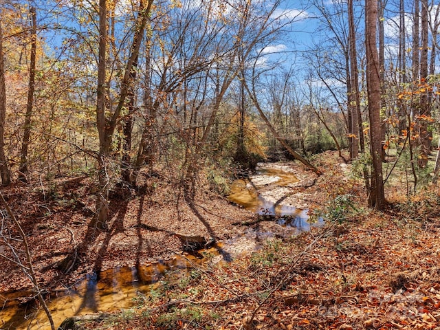 view of nature