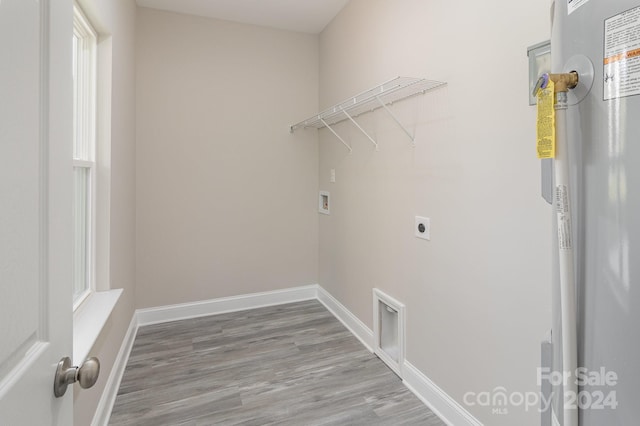 laundry area featuring light hardwood / wood-style flooring, washer hookup, and hookup for an electric dryer