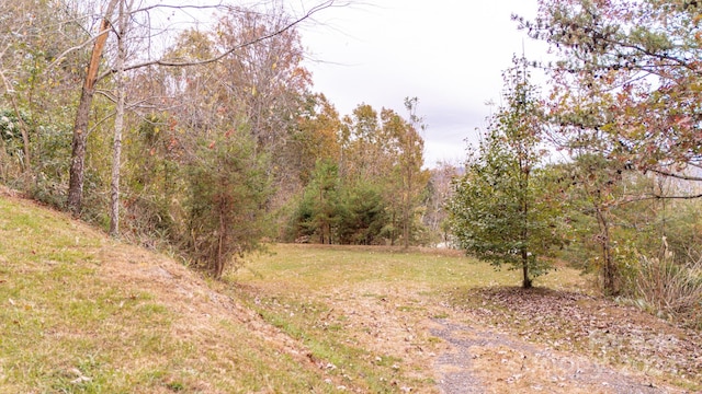 99999 Perrion Ave, Weaverville NC, 28787 land for sale