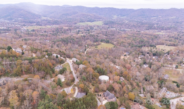 Listing photo 3 for 99999 Perrion Ave, Weaverville NC 28787