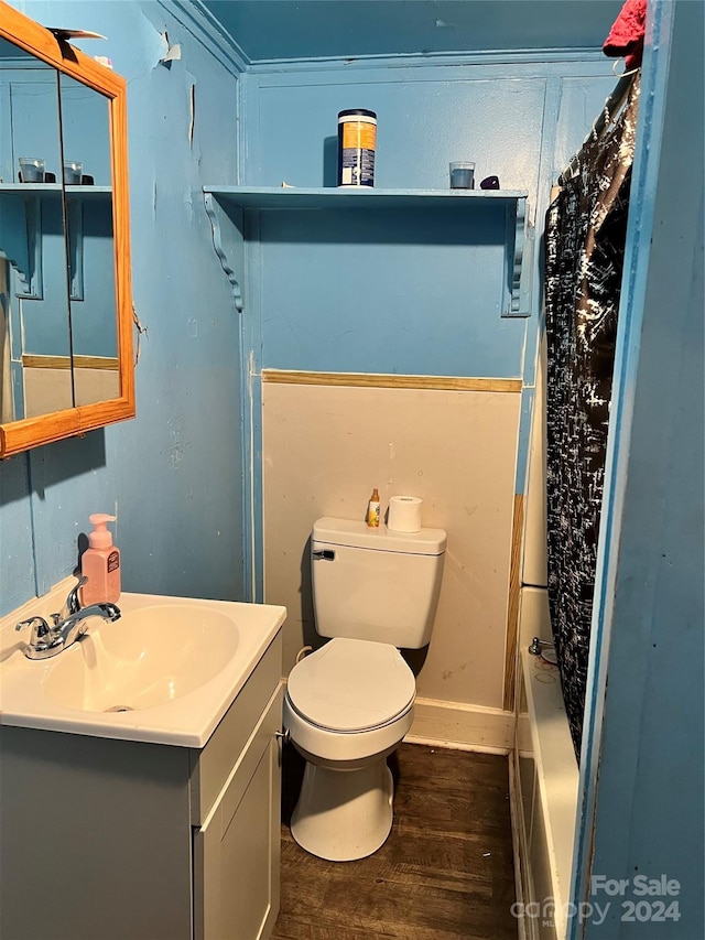 bathroom with wood-type flooring, vanity, and toilet