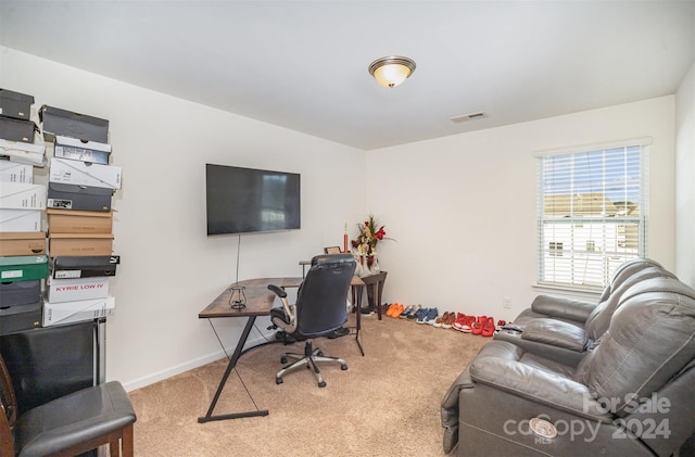 1628 Savory Ln, Charlotte, NC 28216 - photo 19