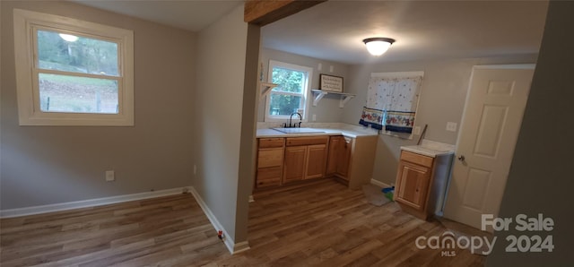 kitchen with hardwood / wood-style floors and sink