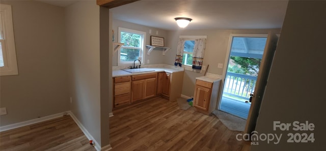 kitchen featuring wood-type flooring and sink