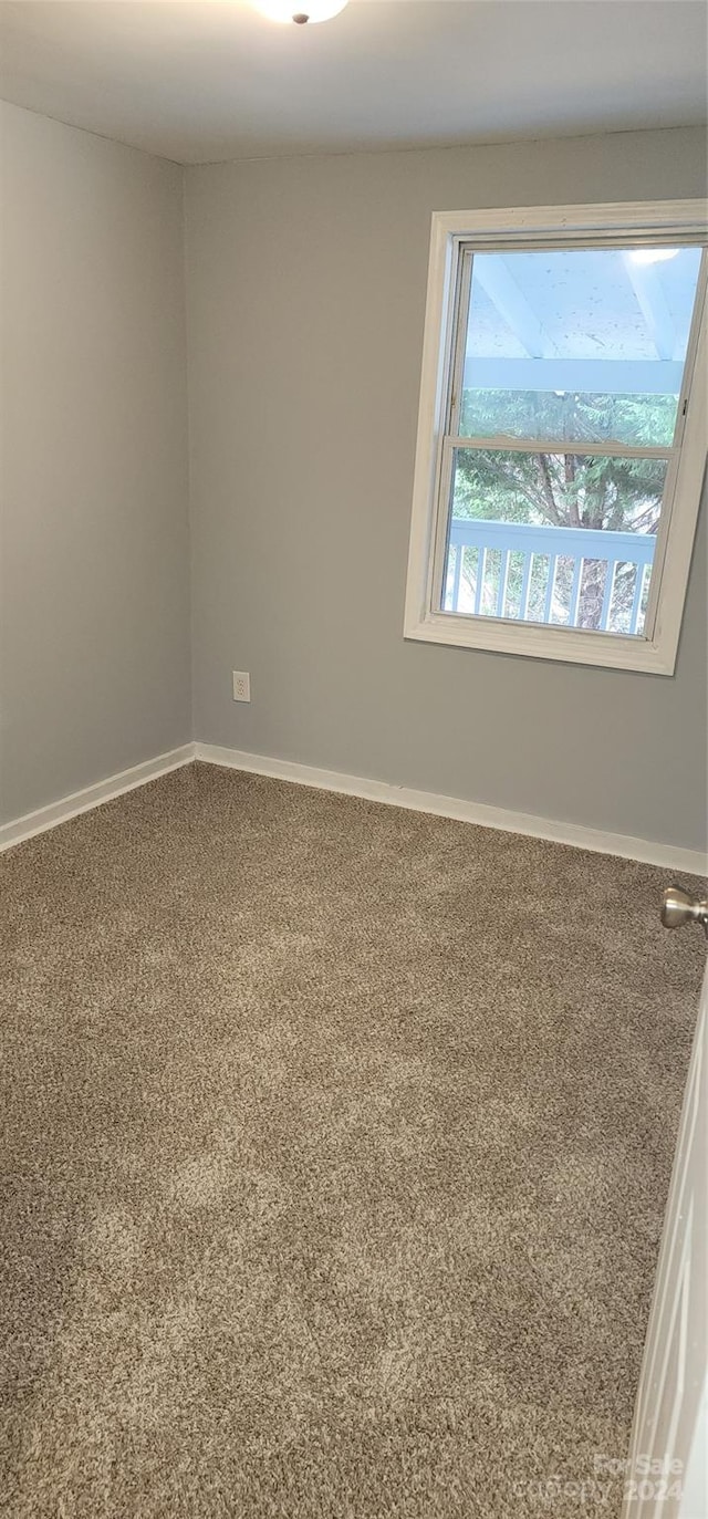 empty room featuring carpet flooring