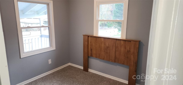 unfurnished room featuring carpet floors