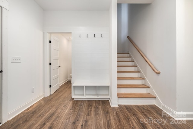 mudroom featuring dark wood-type flooring