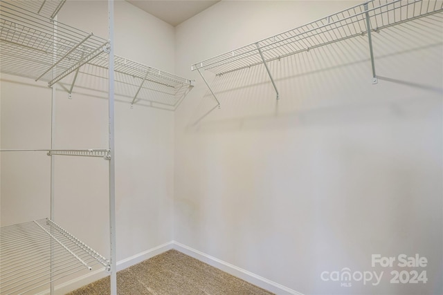 1909 Galloway Rd Lot 46, Charlotte, NC 28262 - walk in closet featuring carpet