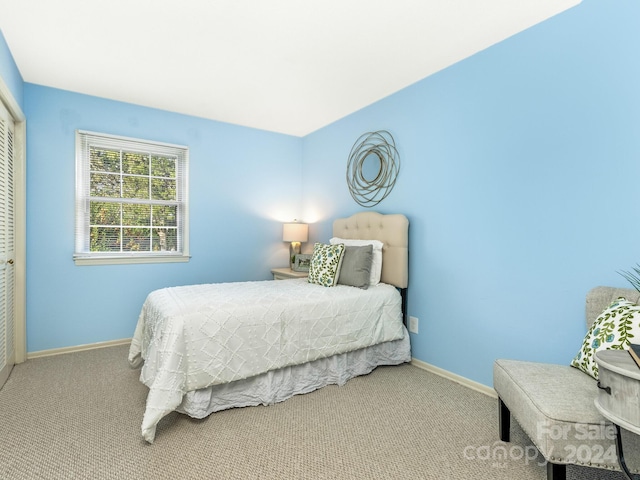 bedroom with carpet flooring and a closet