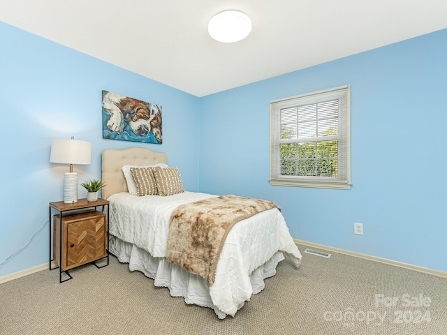 bedroom with carpet floors