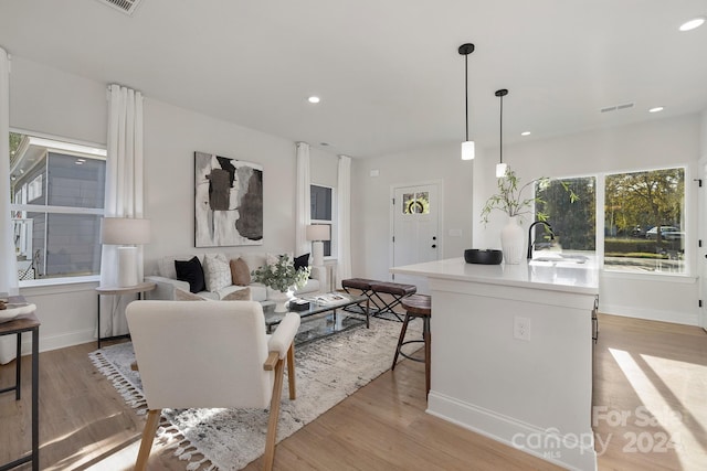 living room with light wood-type flooring and sink