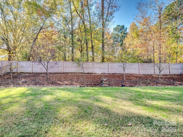 view of yard featuring a fenced backyard