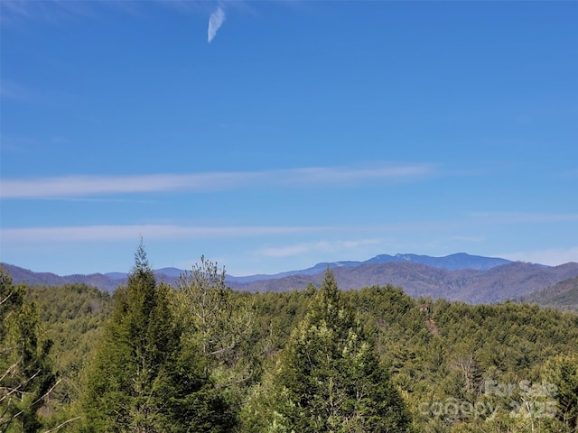 property view of mountains with a wooded view