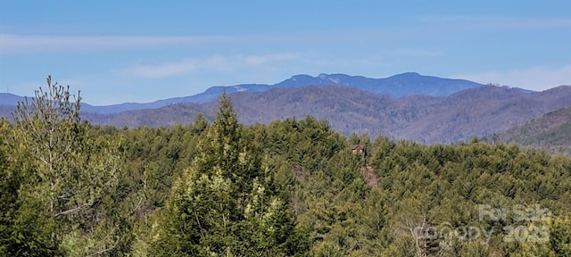 view of mountain feature featuring a wooded view