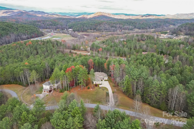 birds eye view of property with a mountain view and a view of trees