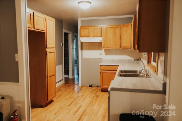 kitchen featuring backsplash, light hardwood / wood-style flooring, and sink