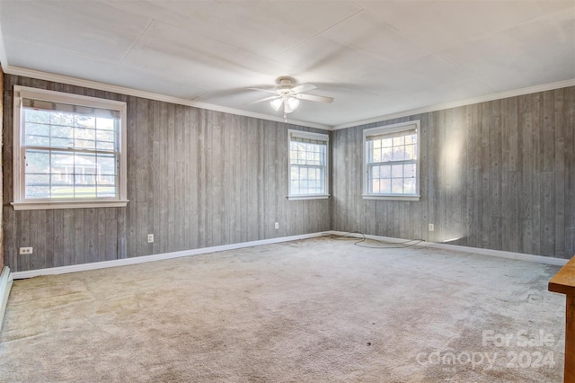 carpeted empty room featuring wood walls and a wealth of natural light