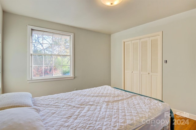 bedroom featuring hardwood / wood-style flooring and a closet