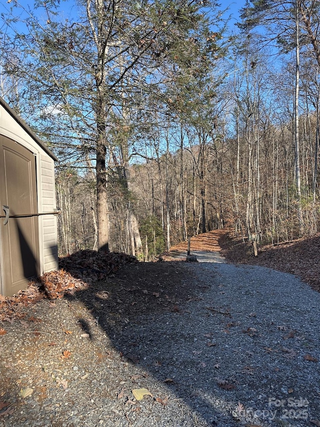 view of yard featuring a storage shed, an outdoor structure, and a view of trees