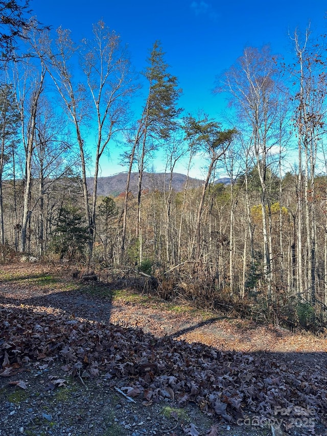 view of mountain feature featuring a wooded view