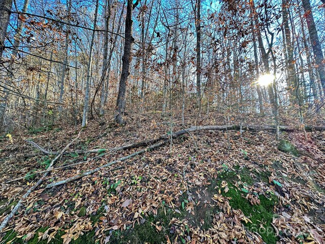 view of nature