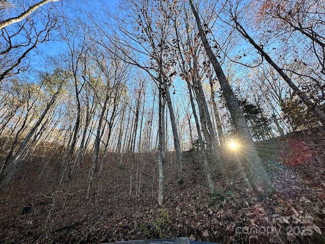 view of nature