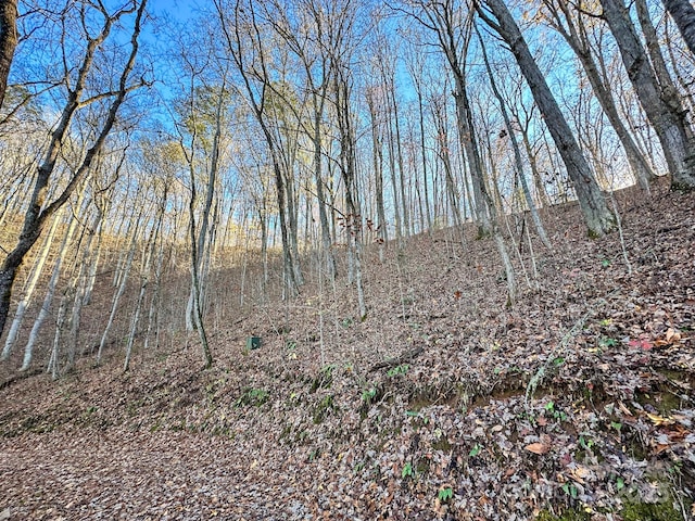 view of nature