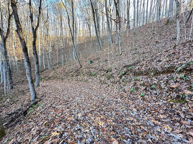 view of landscape