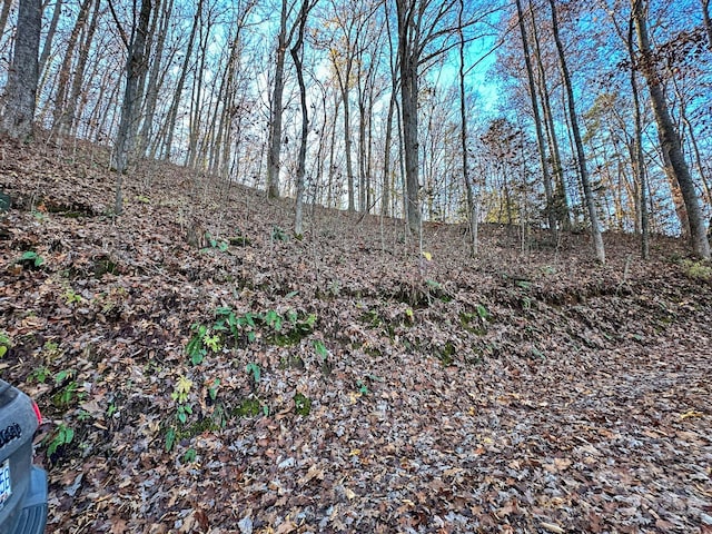 view of nature