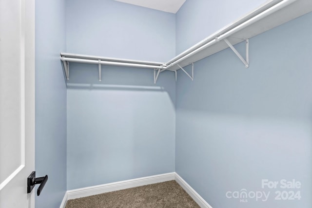 spacious closet with carpet flooring