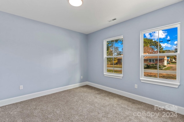 carpeted empty room featuring plenty of natural light