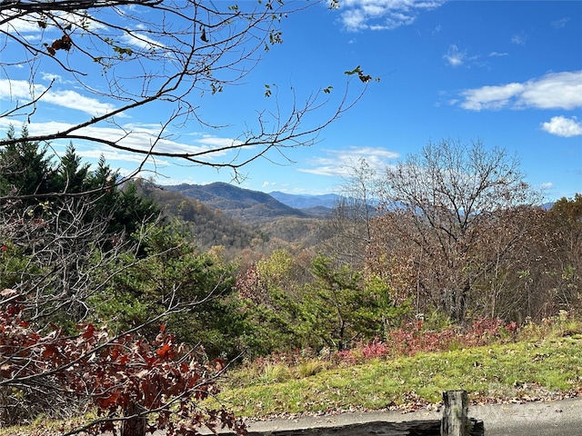 Listing photo 2 for 0 Charleston Rdg, Bryson City NC 28713