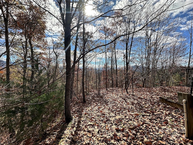 0 Charleston Rdg, Bryson City, NC 28713 - photo 4