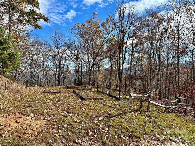 0 Charleston Rdg, Bryson City, NC 28713 - photo 7
