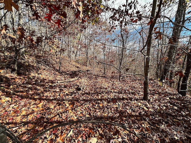 0 Charleston Rdg, Bryson City, NC 28713 - photo 10