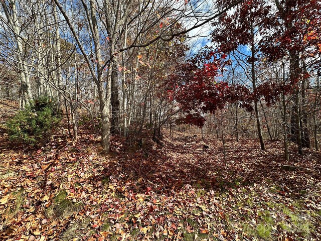 0 Charleston Rdg, Bryson City, NC 28713 - photo 11