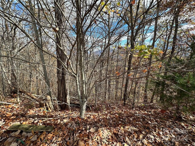 0 Charleston Rdg, Bryson City, NC 28713 - photo 12