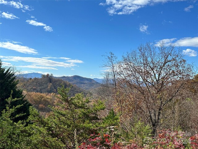 0 Charleston Rdg, Bryson City, NC 28713 - photo 15
