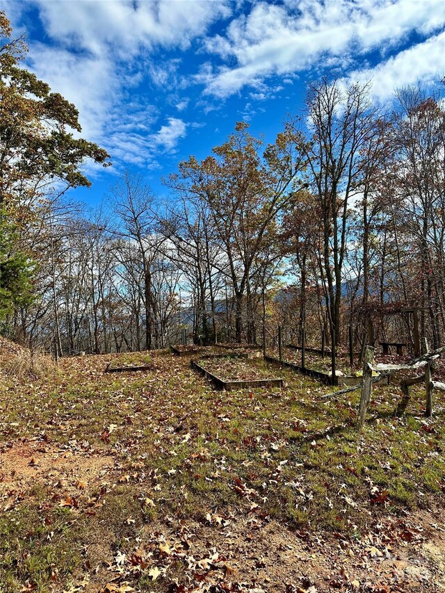 0 Charleston Rdg, Bryson City, NC 28713 - photo 17