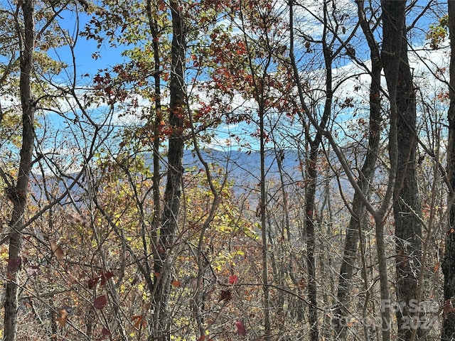 0 Charleston Rdg, Bryson City, NC 28713 - photo 18