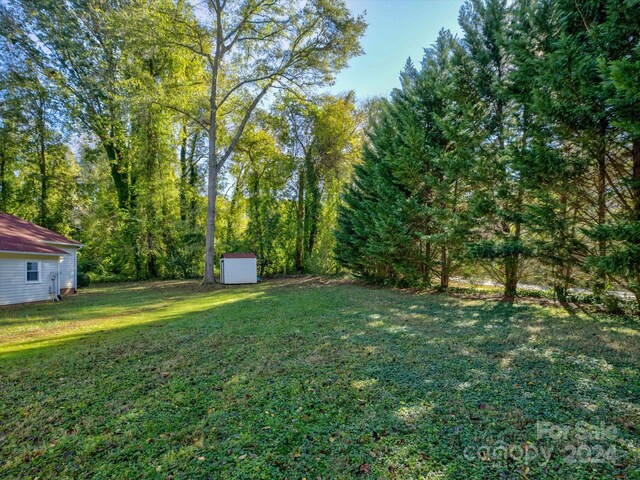 view of yard with a storage shed