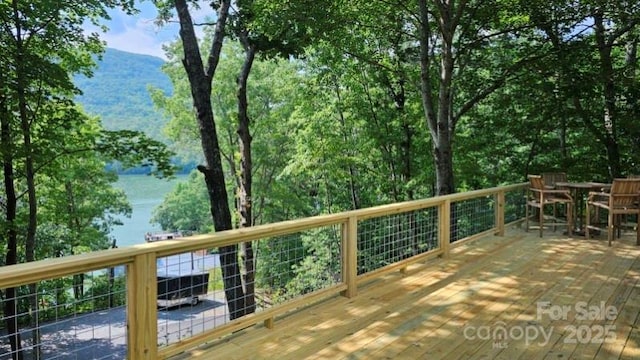 1805 Buffalo Shoals Rd, Lake Lure, NC 28746 - photo 8