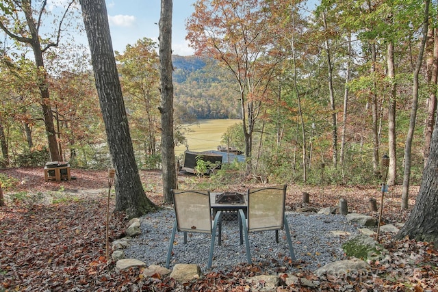 1805 Buffalo Shoals Rd, Lake Lure, NC 28746 - photo 11